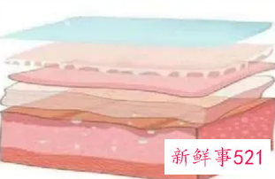 皮肤屏障受损如何治疗