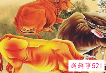 生肖牛的人适合买几楼