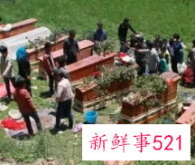 梦见埋葬死去的母亲是什么寓意