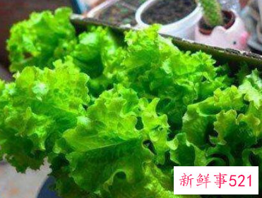 生菜吃了有什么好处