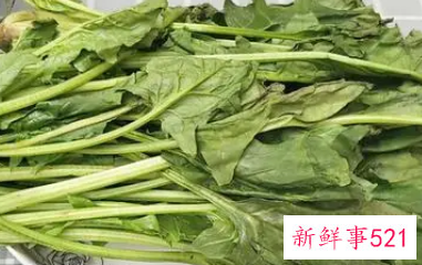 吃菠菜的危害