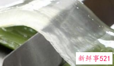 新鲜芦荟怎么处理敷脸