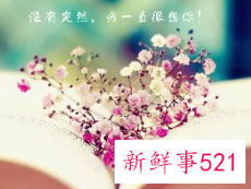 情话浪漫的情话