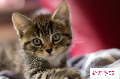 经典情感语录句句扎心