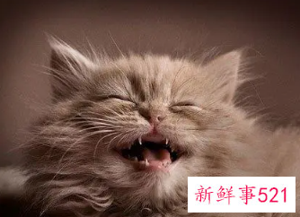 梦见自己大笑是什么意思