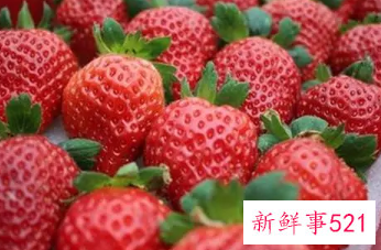 什么水果含钙量最高