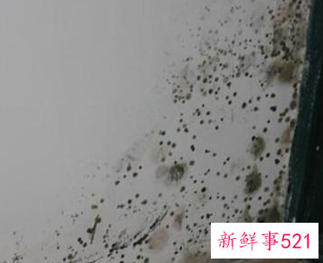 清理墙面的方法