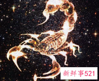 天蝎男不喜欢女生哪些行为