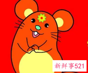 生肖鼠今年最大吉的婚配对象是谁