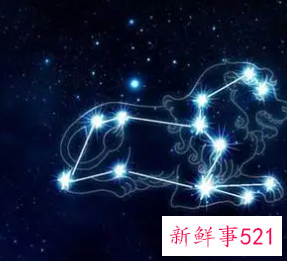 哪天出生的狮子座最笨