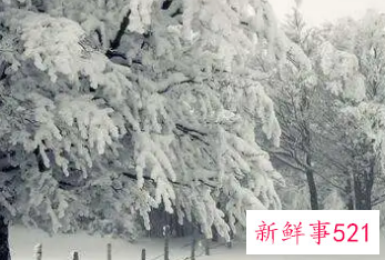 梦见下雪是怎么回事