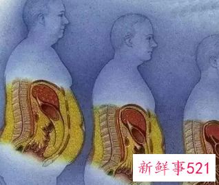 跳绳减内脏脂肪效果