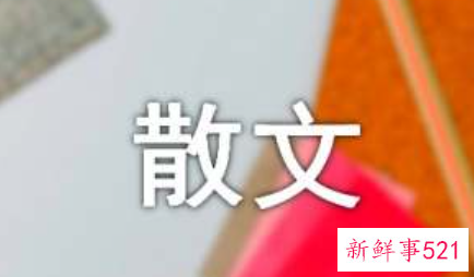 这是生命的奇迹散文