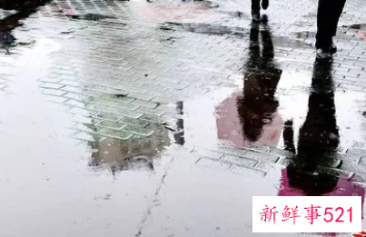 梦见和老婆一起避雨