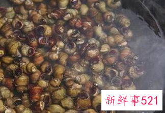 田螺要煮多长时间