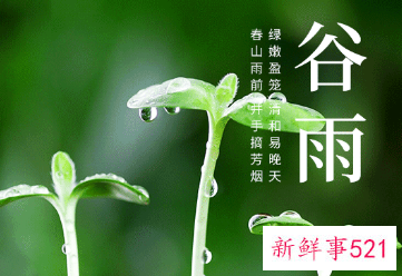 谷雨节气的特点