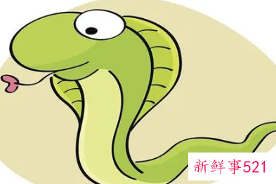 关于蛇的顺口溜