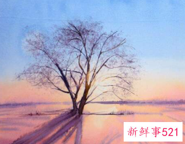 梦见脱皮是什么寓意