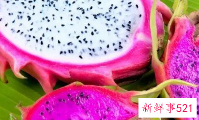 红心和白心火龙果哪个更通便