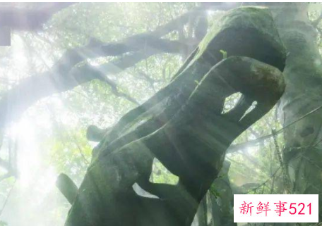 南山海边有休闲的地方吗