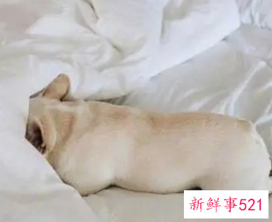 冬天早上怎样不赖床