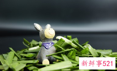 韭菜不能和什么同食