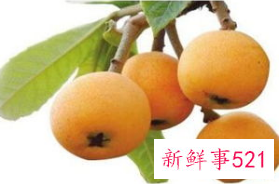 吃枇杷会有什么好处