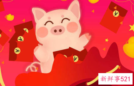 属猪的的运势怎么样