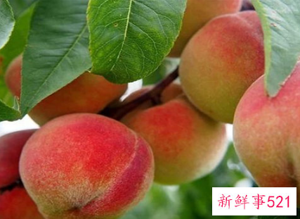 跟男生表白被拒怎么挽回