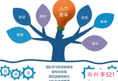 企业人才发展三年规划