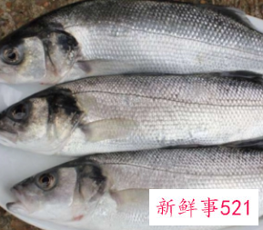 小孩吃什么鱼最有营养