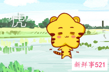 1993年鸡和1998年虎合不合