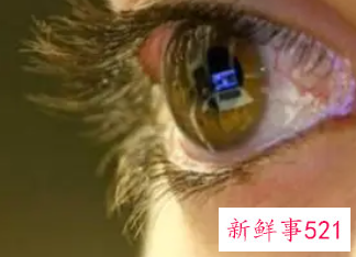 已婚女人上眼皮跳吉凶