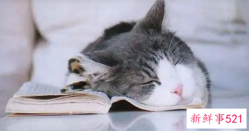 每天喝蜂蜜水有什么好处