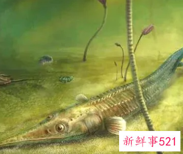 绝非池中之物上