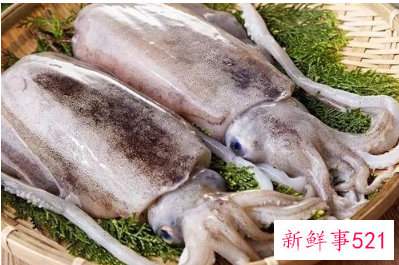 什么鱼营养价值最高又便宜