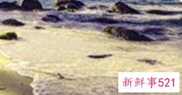 美景类的作文600字