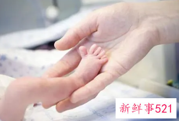 三胎补助怎么申请