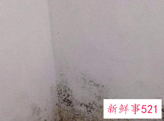 清理墙面的方法