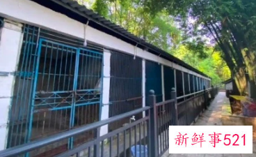 湖北退伍老兵32年独守动物园