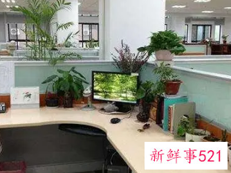 女性办公桌摆放风水正确图