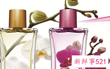 香水应该涂抹在什么位置