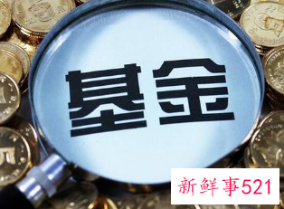 基金和股票的区别在哪