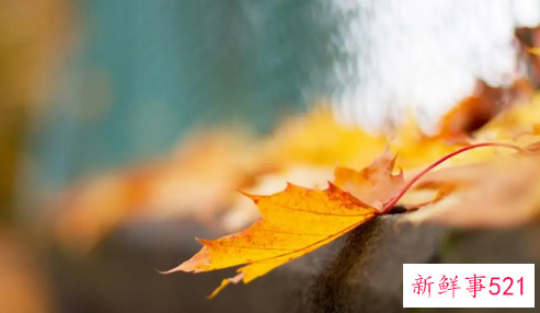 女生问你你觉的我怎么样回答