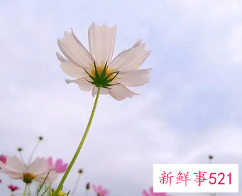 美满幸福是啥意思