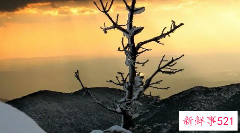 经典情感语录句句扎心