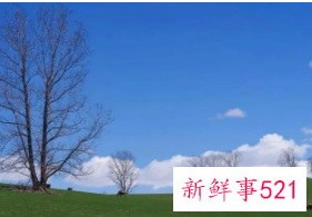 寓意活得自由自在的名字