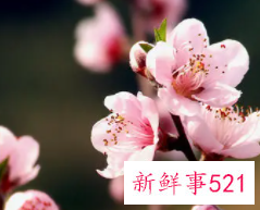 女人有体香吗？