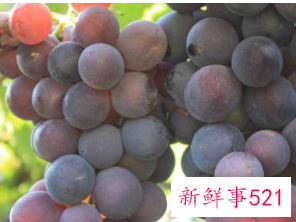 女性吃葡萄好处和坏处