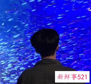 脸大适合什么发型男图片